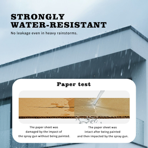 Revestimiento Impermeable de Poliuretano Transparente LOULAN, Sellador Adhesivo para Reparación de Fugas, Sellador Duradero para Grietas en Techos, Garantía de 5 Años - Product Image 6