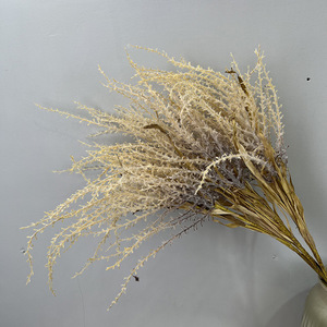 Fleur artificielle d'<span class=keywords><strong>astilbe</strong></span> floquée de 105 cm à longue tige, fausse <span class=keywords><strong>astilbe</strong></span> <span class=keywords><strong>chinensis</strong></span> pour toile de fond de mariage, vase, décoration bohème pour la maison - Product Image 4