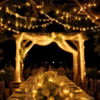 Guirlande lumineuse de Noël étanche IP44 de 100 m avec 480 LED, lumière jaune chaude, pour extérieur, contrôle manuel, prise GS, pour mariage et jardin