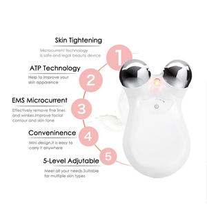 Perangkat kecantikan mikro kustom genggam penggunaan rumah elektrik Pengencang kulit wajah leher pengangkat pelangsing tahan air ABS tahan karat - Product Image 5