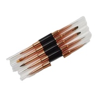 Ensemble de pinceaux professionnels pour ongles en or rose 5pcs. Manucure Ligne Dessin Stylo Double Extrémité Ovale Nylon Cheveux Professionnel Peinture Ongles