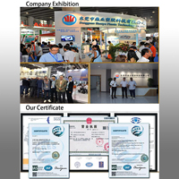 Molde de Inyección de Alta Precisión para ABS, PC, PEEK, PPS, Multicavidad, Sistema de Canales Calientes, Acero Duradero P20/H13, ISO 9001, Fabricante de Moldes en China