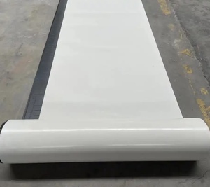 Membrane d'étanchéité spéciale anti-adhésive pré-appliquée, film auto-adhésif HDPE à haute densité moléculaire - Product Image 3