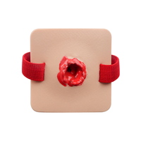 Modelo Anatómico de PVC para Simulación de Heridas Traumáticas, Módulo de Práctica para Entrenamiento en Escuelas de Medicina - Maniquíes de Primeros Auxilios para Hemostasia