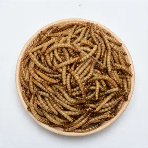 China Supplier Dried Mealworm Fish Feed Pellets Koi Carp Blood Worm Aquarium Fish Food
