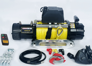 האיכות הטובה ביותר 12v/24v חשמלי 4x4 winch 8500lbs - Product Image 5