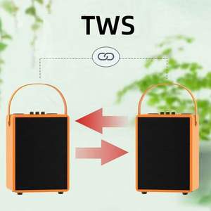 Mới Xách Tay Karaoke Và Cuộc Họp Loa Bluetooth Loa Với Không Dây Cầm Tay Microphone - Product Image 4