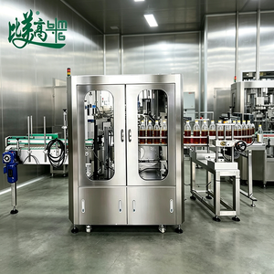 Detector Automático de Defectos en Botellas, Equipo de Inspección Visual con IA, Protección IP55, Marca BMG, Tapas Altas, Tapas Inclinadas, Tapas Desalineadas - Product Image 1