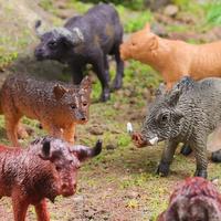 Yxs simule des mini modèles d'animaux africains autruche sauvage buffle gnou hyène babouin phacochère jouet