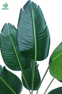 Cọ nhân tạo cho hành lang khách sạn tán lá thực tế Thiết kế tinh xảo - Product Image 2