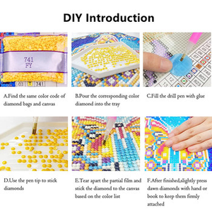 Pinturas en lienzo personalizadas, <span class=keywords><strong>pintura</strong></span> de diamante celestial floral con taladro completo 5D, de la marca - Product Image 5