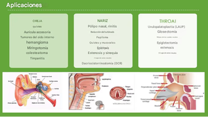 Perawatan <span class=keywords><strong>ENT</strong></span> <span class=keywords><strong>laser</strong></span> dioda Endonasal <span class=keywords><strong>30W</strong></span> 10W 980nm 1470nm serat optik medis sirip hidung sinus telinga hidung tenggorokan perangkat bedah - Product Image 2