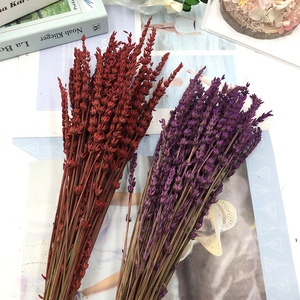 Verano venta al por mayor regalo de boda Fresca natural toque real flor eterna para siempre y de flores de <span class=keywords><strong>lavanda</strong></span> - Product Image 4