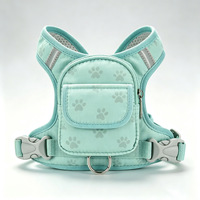 Sac à dos respirant en maille avec motif de patte imprimé en 3D, en polyester, pour chien, avec service OEM/ODM pour la promenade en extérieur
