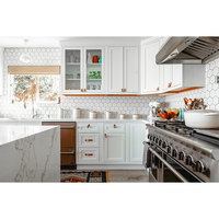 Armoires de cuisine modulaires de style shaker américain haut de gamme, personnalisation complète de la maison, ensemble d'armoires prêtes à assembler
