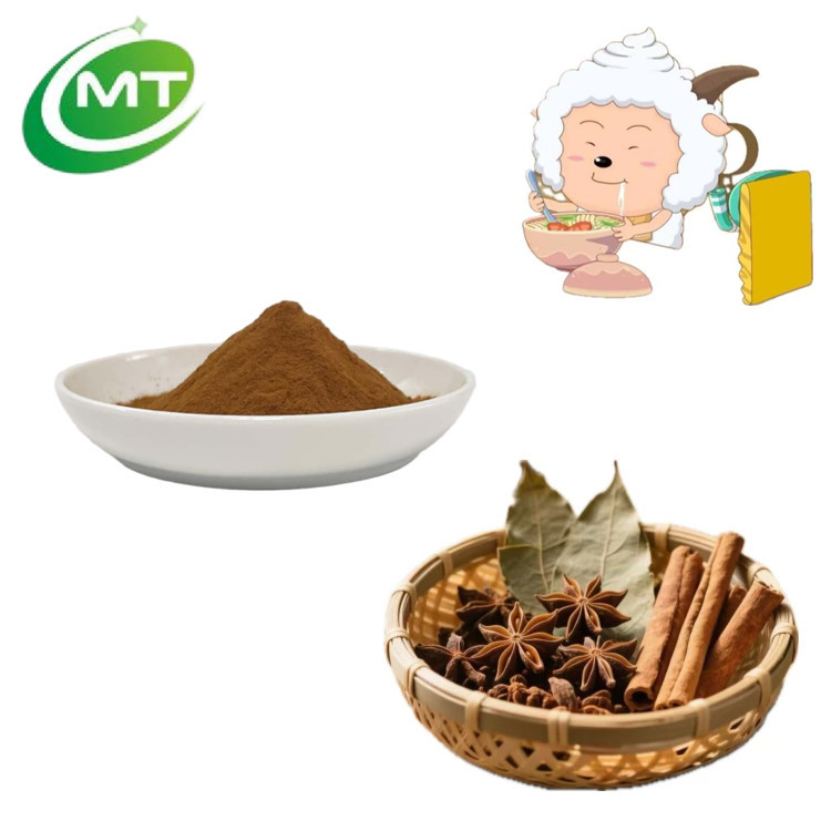 Factory Supply Good Flavor Five Spice
