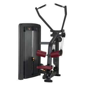 Tszd thấp hơn trở lại cơ bắp căng Workout phòng tập thể dục thiết bị tùy chỉnh chia cao kéo huấn luyện viên