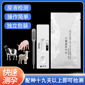 Carte de test de grossesse précoce vétérinaire Kangcai pour porcs, détection rapide, utilisation facile, certifiée CE, emballage individuel - Product Image 3