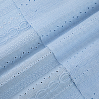 Tissu Jacquard Brodé en Maille Filet Bleu Clair avec Œillets, 99% Polyester 1% Spandex, Tissu Texturé Léger pour Tenues Élégantes