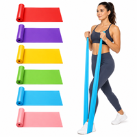 Bandes de Résistance Longues et Plates pour la Thérapie Physique, les Exercices de Mobilité, les Étirements et les Programmes de Renforcement Musculaire