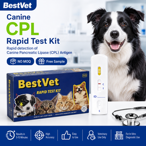 Kit de Prueba Combinada de Anticuerpos para Ehrlichia, Lyme y Anaplasma en Perros, Prueba Rápida en Casete EHR <span class=keywords><strong>LYM</strong></span> ANA - Product Image 2