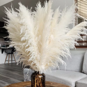 A-2 3 Tiges <span class=keywords><strong>Grand</strong></span> BLANC <span class=keywords><strong>PAMPAS</strong></span> HERBE 3-4ft <span class=keywords><strong>Grand</strong></span> Vente Fleurs Sèches Décor À La Maison Boho Décor De Mariage Floral Décor | Bouquet De Pampa - Product Image 1