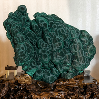 Malachite botryoïdale œil de chat naturelle avec base en bois sculptée à la main, décoration d'intérieur de luxe, pierre de collection
