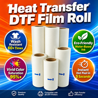 Film de transfert thermique 30cm 60cm, film de transfert DTF PET à pelage instantané chaud/froid pour impression numérique à jet d'encre