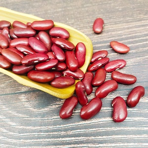 Vente en gros de haricots rouges foncés séchés de haute qualité pour les aliments en conserve - Product Image 2