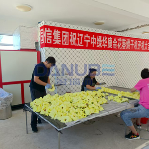 Horno de Secado con Bomba de Calor Golden Sunflower de Tecnología Avanzada, Equipo de Secado Golden Sunflower - Product Image 4