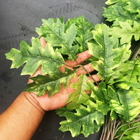 Vente en gros de feuilles de chêne artificielles pour la décoration intérieure de Thanksgiving, branches de plantes vertes suspendues, tiges de feuilles de chêne artificielles