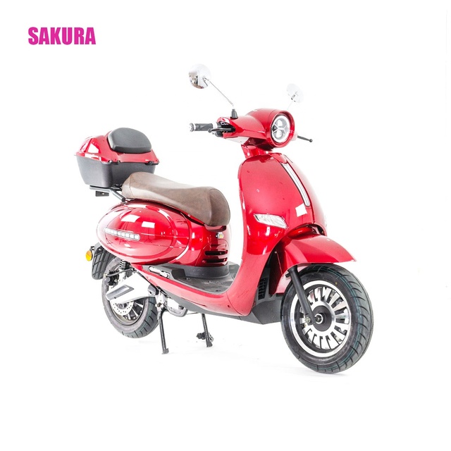 Goldenlion JS2B-2 EEC 4000W Electric Scooter with Double Removabke Batteries Electric Motorcycle