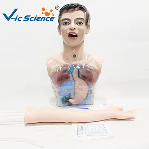 Modèle de pratique infirmière de base ; Modèle de simulation du corps humain pour l'enseignement des opérations d'infirmier(ère) sur tout le corps - Product Image 2