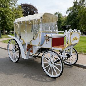 Prix d'usine bon marché OEM chariot de mandrin citrouille électrique 6 places sans chevaux <span class=keywords><strong>wagon</strong></span> électrique de tourisme - Product Image 1