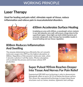 Láser Portátil de 305W con Pulsos de 808nm para Tratamiento de Osteoartritis en <span class=keywords><strong>Rodilla</strong></span> y Hombro, Terapia Láser Fría para Artritis - Product Image 2