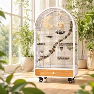 Gabbia Decorativa per Uccelli con Arco Superiore, Grande Gabbia per Pappagalli in Acciaio Inossidabile con Vassoio in Legno, Ruote e Giocattolo con Posatoio per Conure, Cacatua, Parrocchetta - Product Image 1