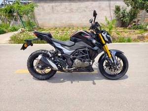 Haojue1 DR300 Moto Naked 300cc avec fourche avant dorée, moto sportive pour les trajets quotidiens, pour l'Allemagne et l'Europe - Product Image 1