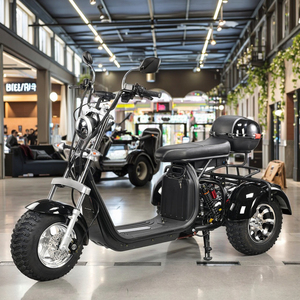Tricycle 3000W pour adultes avec garantie de 2 ans, pour le golf, les trajets quotidiens et les déplacements légers hors route, capacité de charge de 250 kg - Product Image 5