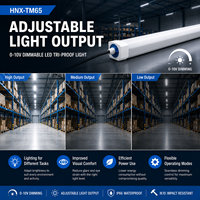Lámpara LED Tri-Proof Regulable de 0-10V con Salida Ajustable para Almacenes, Fábricas, Estacionamientos y Proyectos de Retrofit