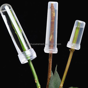 Fournitures pour fleuristes : Tubes en plastique transparent pour fleurs, 4 cm, 7 cm, 10 cm, avec bouchons, pour garder les fleurs fraîches, pour Noël, la fête des mères - Product Image 3