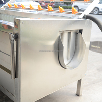 Aardappel, gember, bieten, wortelgroentewas- en schilmachine met motor, capaciteit 50-2000 kg/uur voor de verwerking van fruit & noten