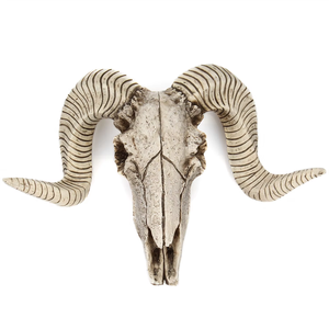 Rétro tête <span class=keywords><strong>de</strong></span> mouton crâne SKE20 <span class=keywords><strong>tenture</strong></span> murale résine artisanat modèle Animal décoration <span class=keywords><strong>de</strong></span> noël artistique maison Festival cadeaux - Product Image 1