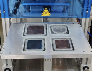 DQ370T-S contrôle précis de l'atmosphère de gaz Double scellage Machine de thermoscellage électrique semi-automatique pour les sacs de fruits et légumes - Product Image 5