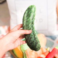 Peluches imprimées de légumes et de nourriture, jouets en forme d'émulsion, chiens et chiots, en solde, nouvelle collection