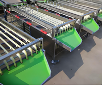 Vbjx Automatische Industriële Aardappel Fruit En Groenten Ui Grader En Grootte Sorteermachine Voor Wortel
