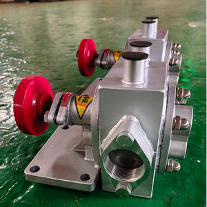 Pompe à engrenages isolée en acier inoxydable pour liquide visqueux Qualité alimentaire Miel <span class=keywords><strong>Sirop</strong></span> Chocolat Traitement des eaux usées Plateau tournant sanitaire - Product Image 4