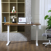 Fabricant de bureaux debout, bureau électrique à double moteur, hauteur réglable 60-125 cm, directement du fabricant