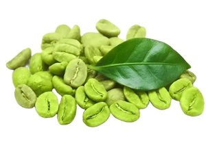 ผงสกัดจากเมล็ดกาแฟสีเขียวบริสุทธิ์อาหารเสริมจัดการน้ำหนักตามธรรมชาติกรด chlorogenic สูง - Product Image 4