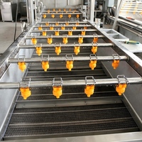 Máquina Automática de Lavar Frutas e Vegetais em Aço Inoxidável 304 para Linha de Processamento de Batata Frita