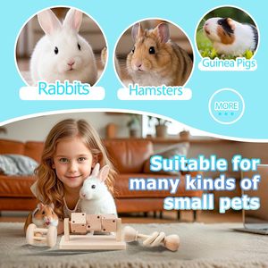 3 Juguetes de Madera para Hámsteres, Conejos, Gerbillas, Ratas y Chinchillas, para Jugar y Moler Dientes - Product Image 6
